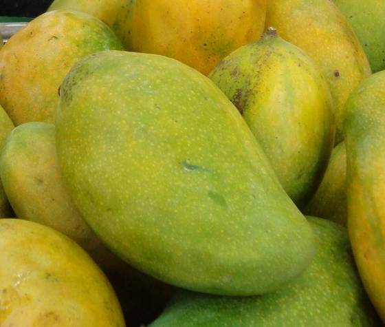 mangoes singapore